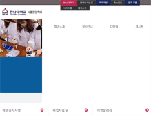 Tablet Screenshot of nutri.hannam.ac.kr